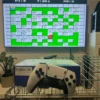 🎁New Year Gifts🎁New Upgrade Retro Game Console Stick - Image 2